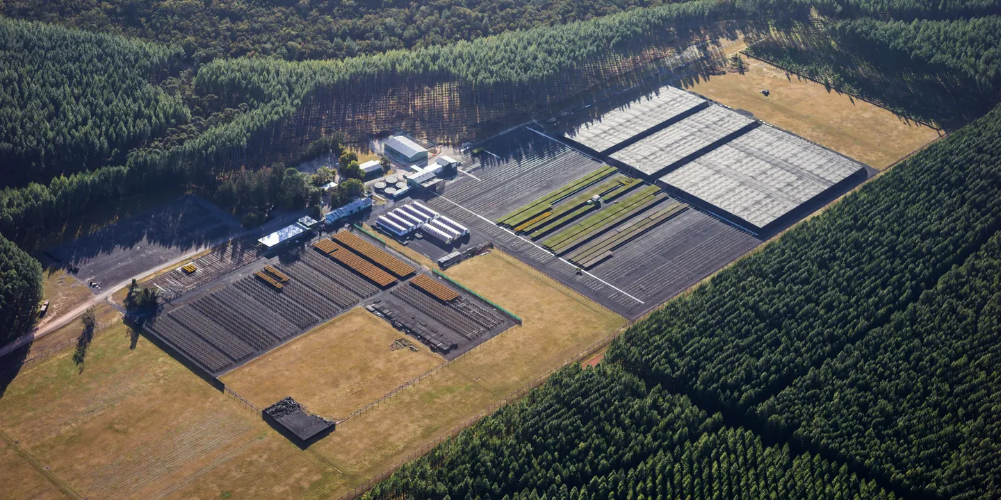 hq plantations_hero