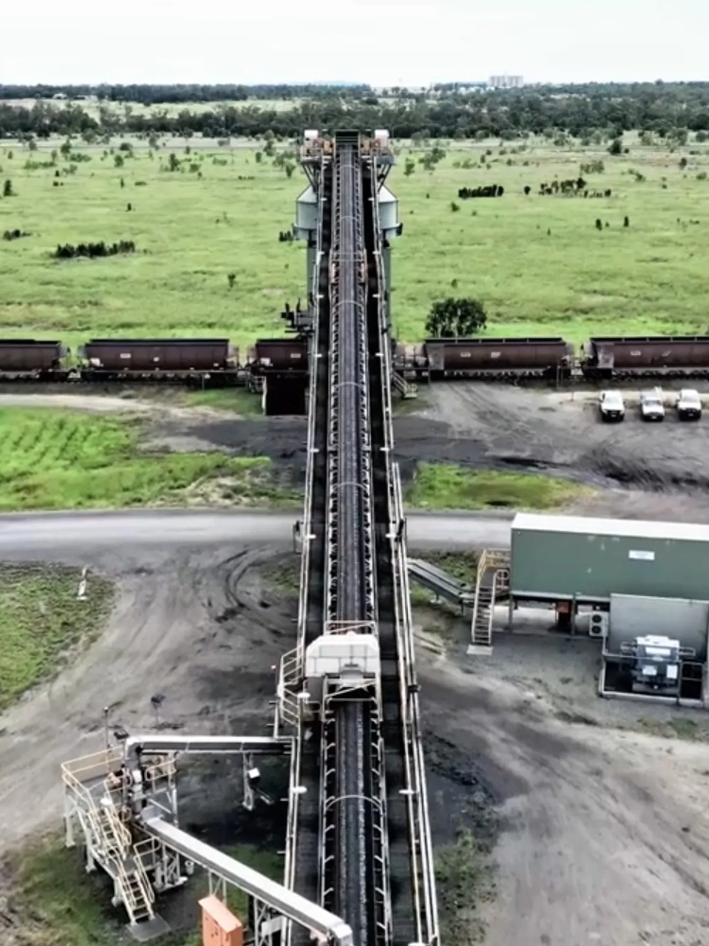 cocktoo-coal_3