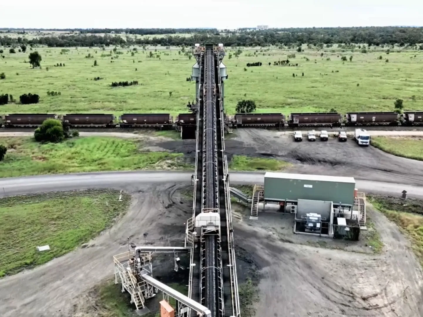 cocktoo-coal_3